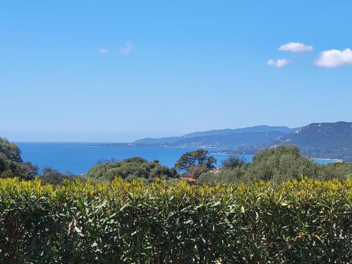 T3 Propriano Vue Mer, Neuf, Climatise Et Classe 4 Etoiles Viggianello Exteriör bild