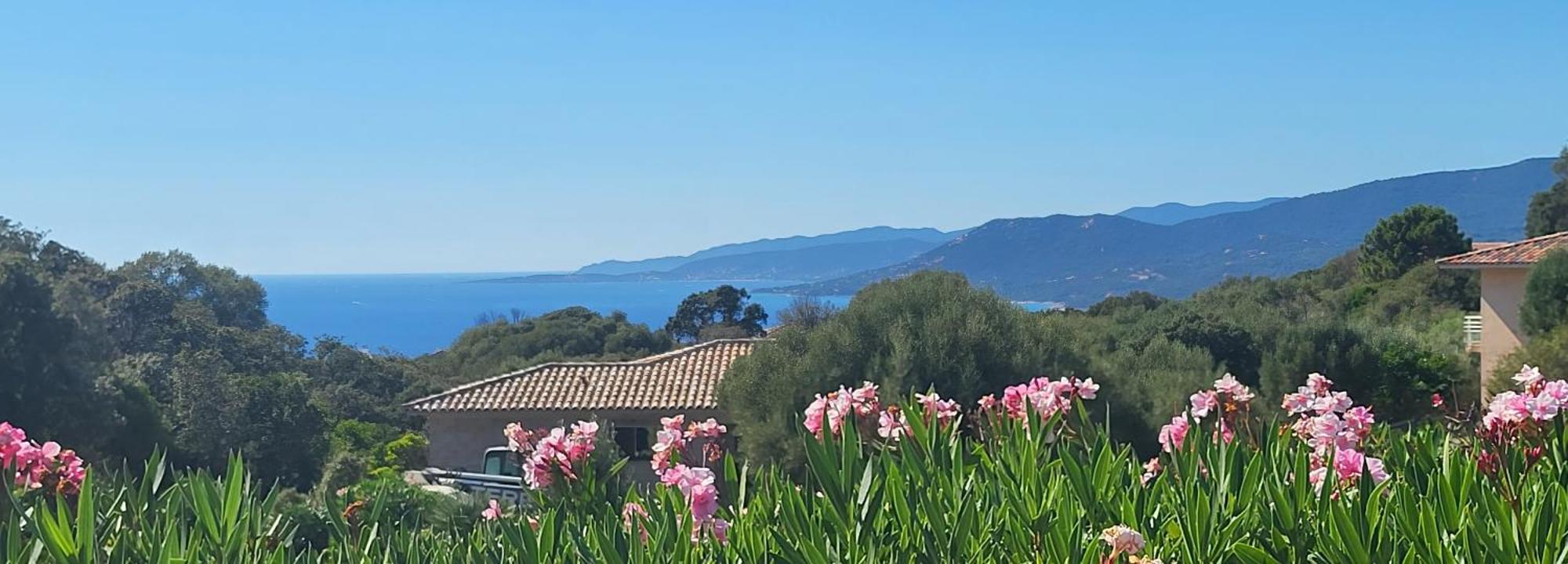 T3 Propriano Vue Mer, Neuf, Climatise Et Classe 4 Etoiles Viggianello Exteriör bild